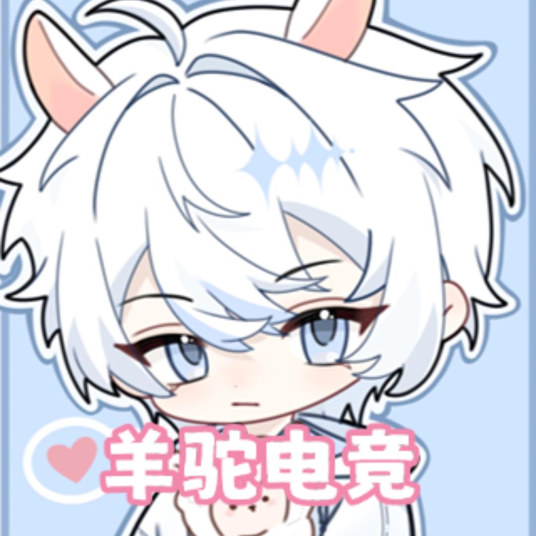 羊驼电竞（三角洲行动）