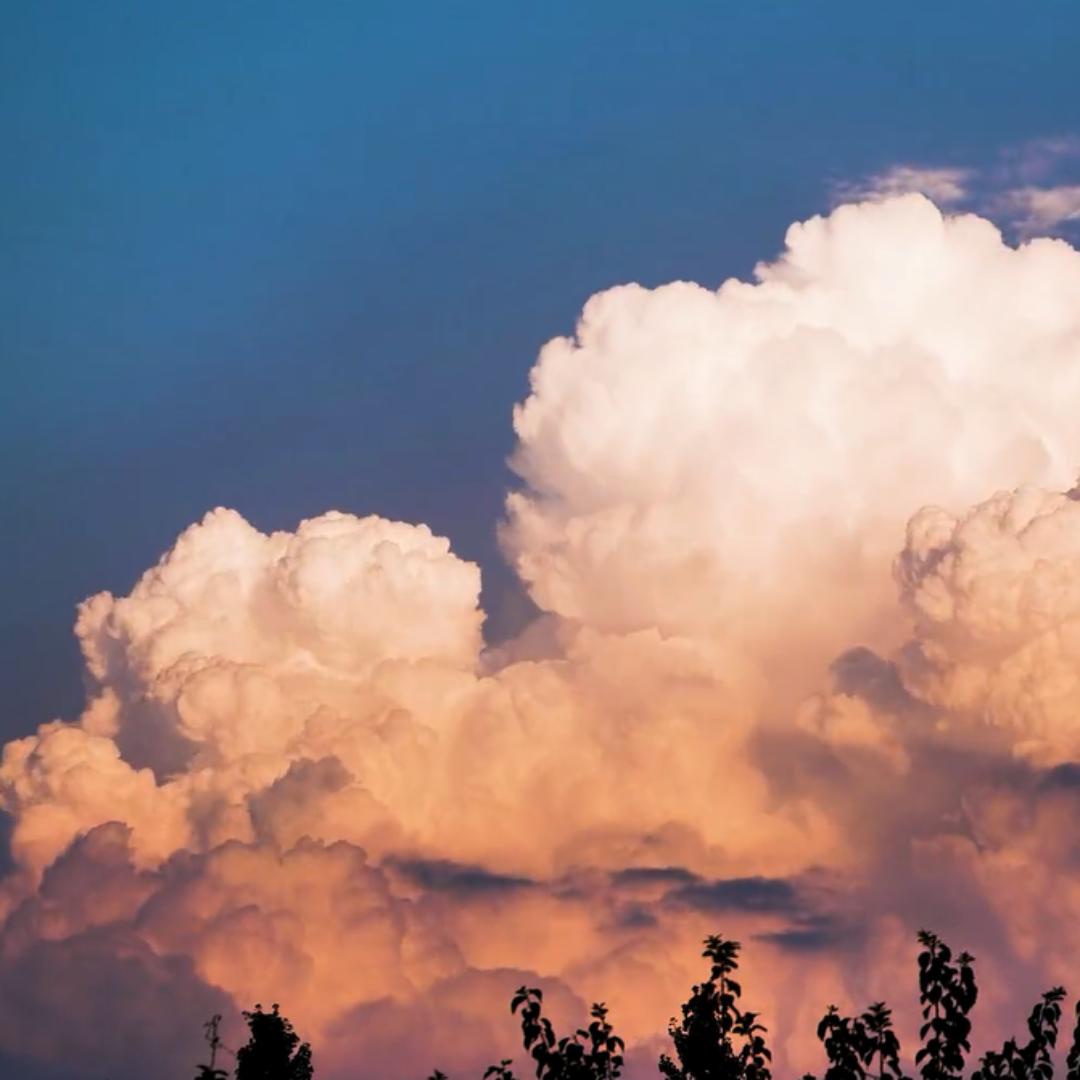 𝑴𝒂𝒓𝒗𝒆𝒍𝒐𝒖𝒔✨