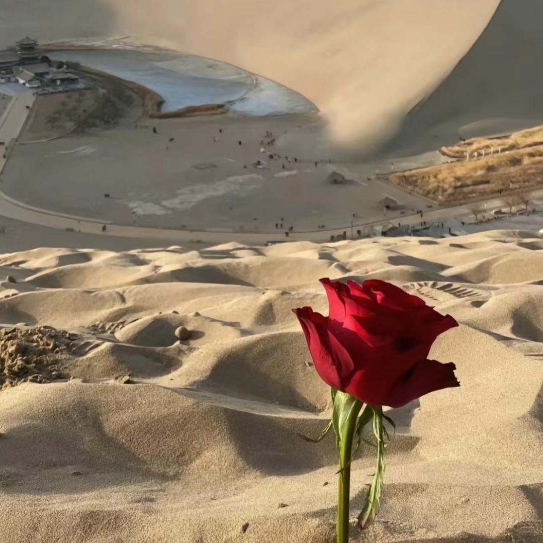 绿源财税管理优品铺子