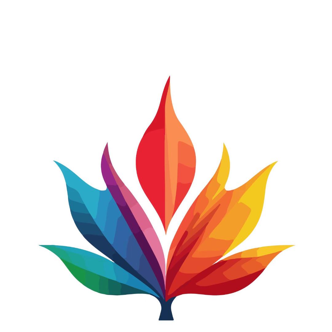 金梧桐律师事务所