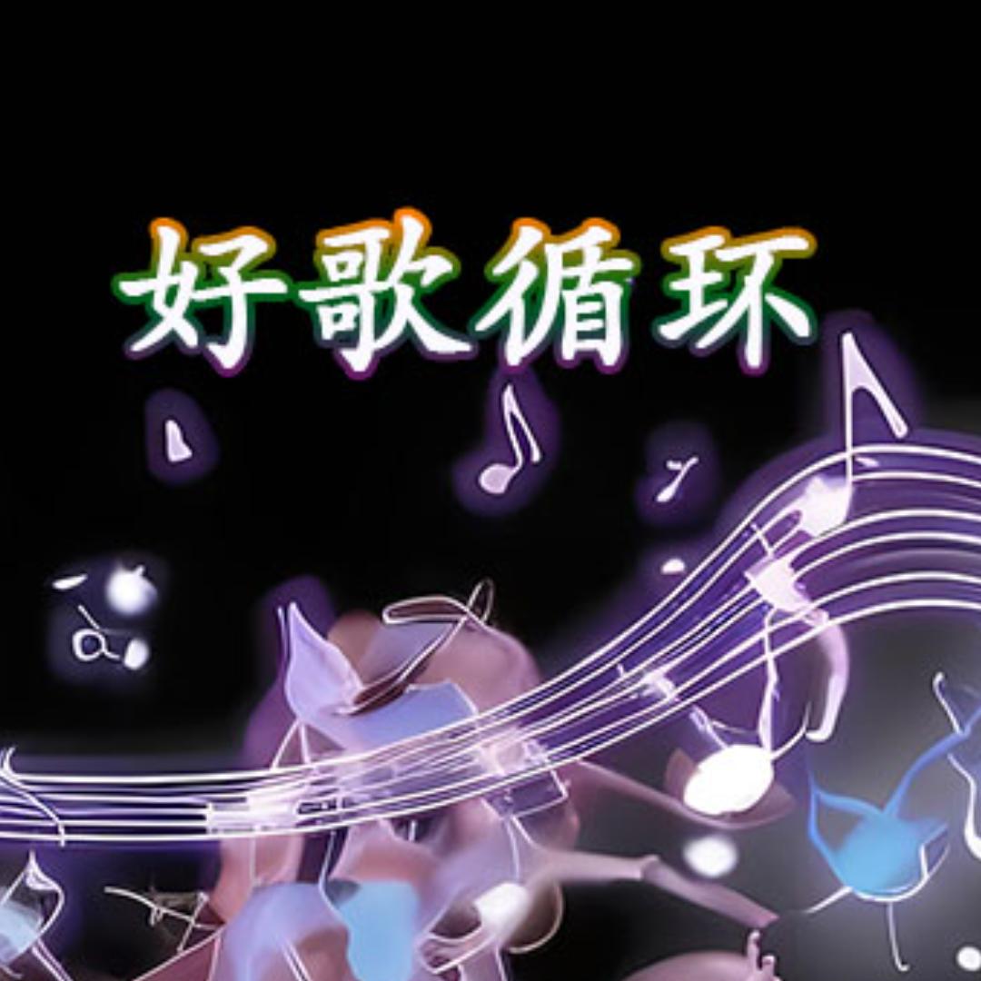 好歌循环