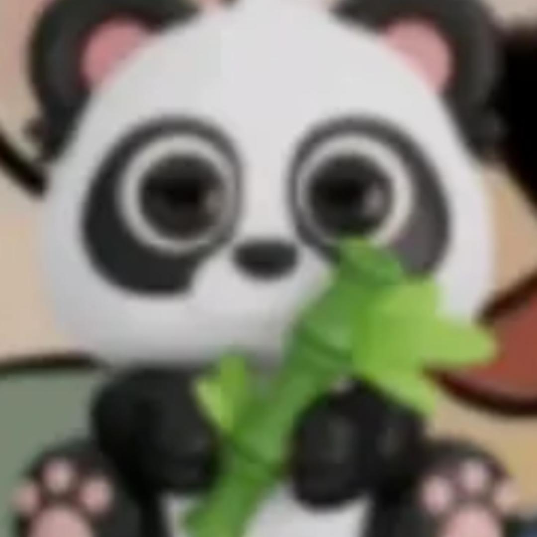 熊猫译站