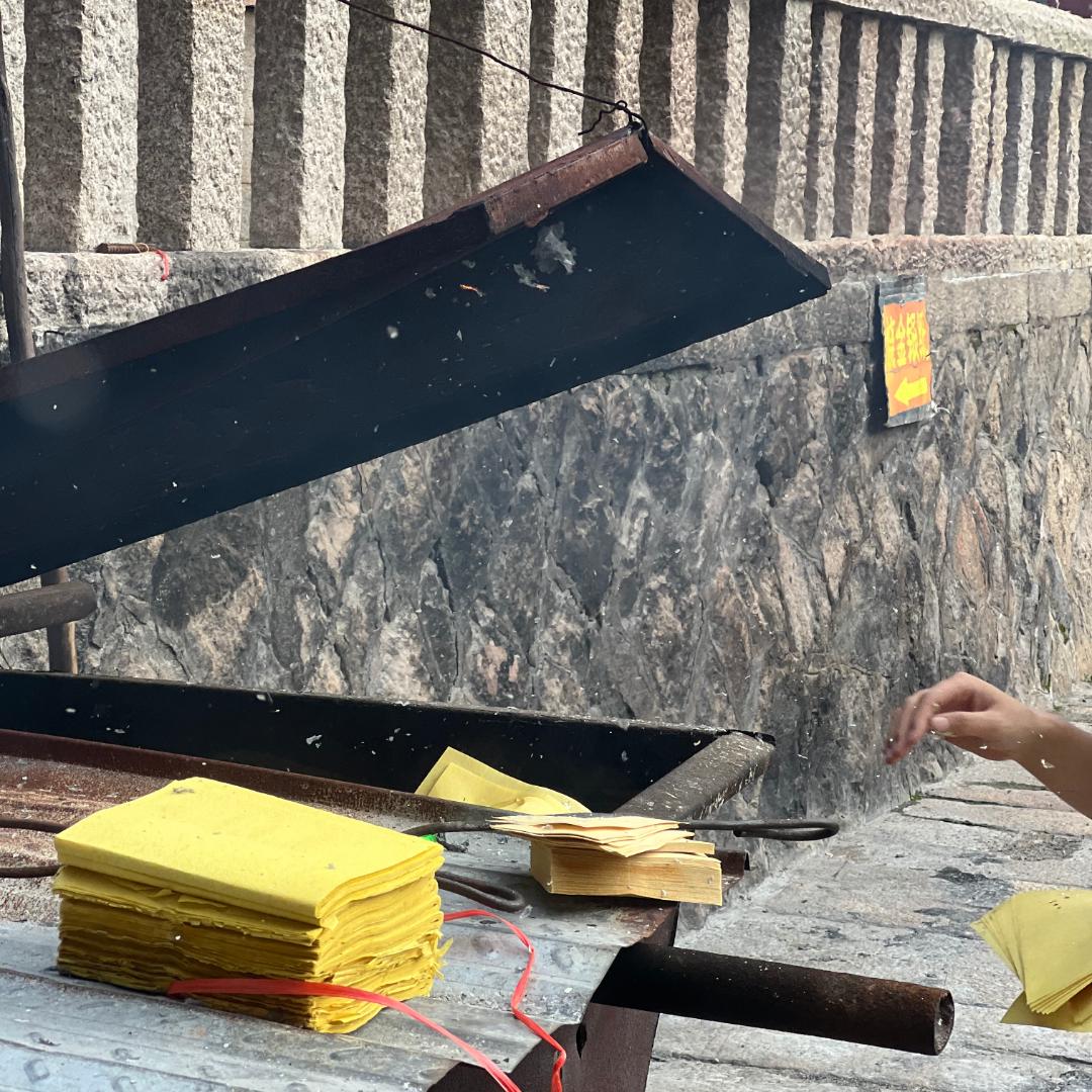 枯木逢春尽铅华