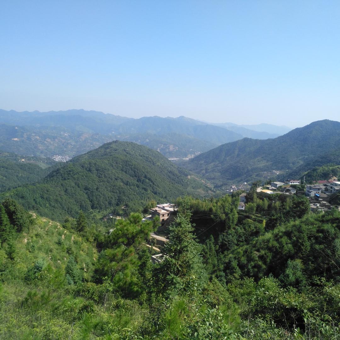 时光²⁰²⁵🇨🇳