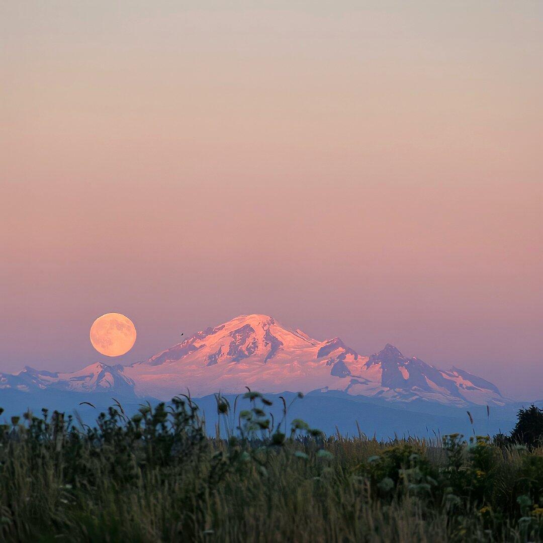 归因日常交流号