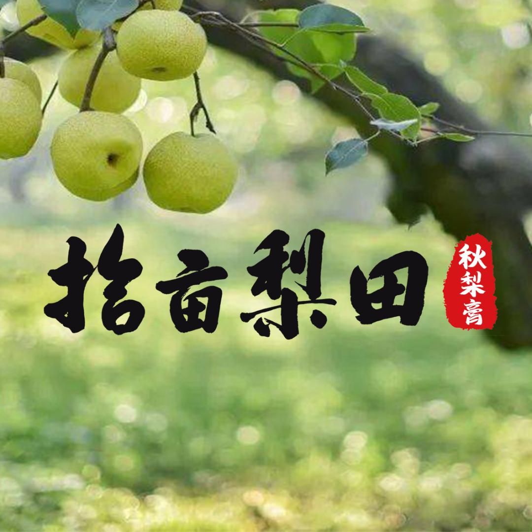 三只熊猫