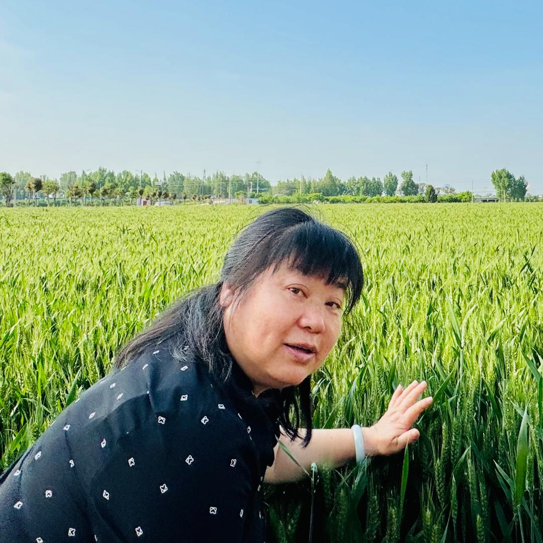 玉溪刘嬢嬢-新隆泰家纺