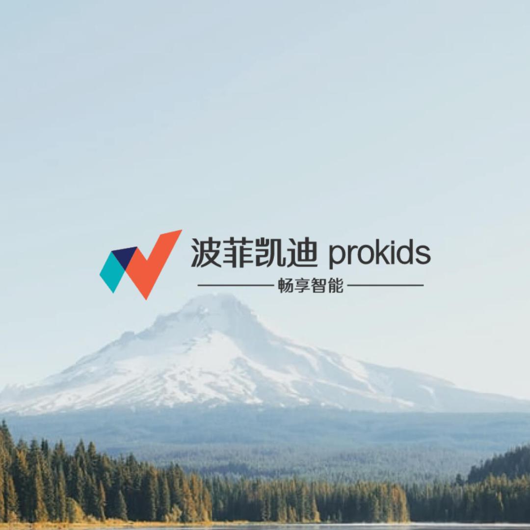 波菲凯迪智能家居小店