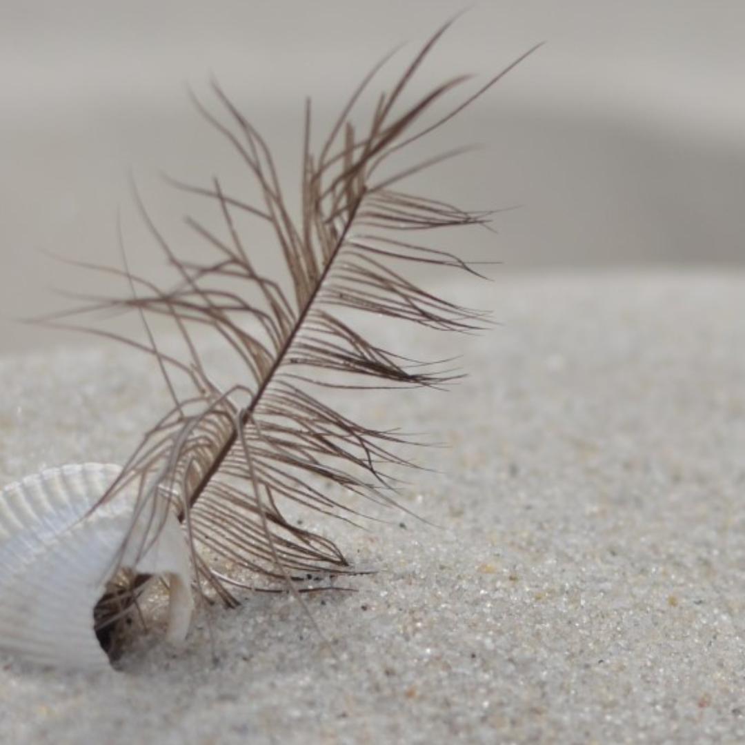 凤城市白旗芒宁优品市集