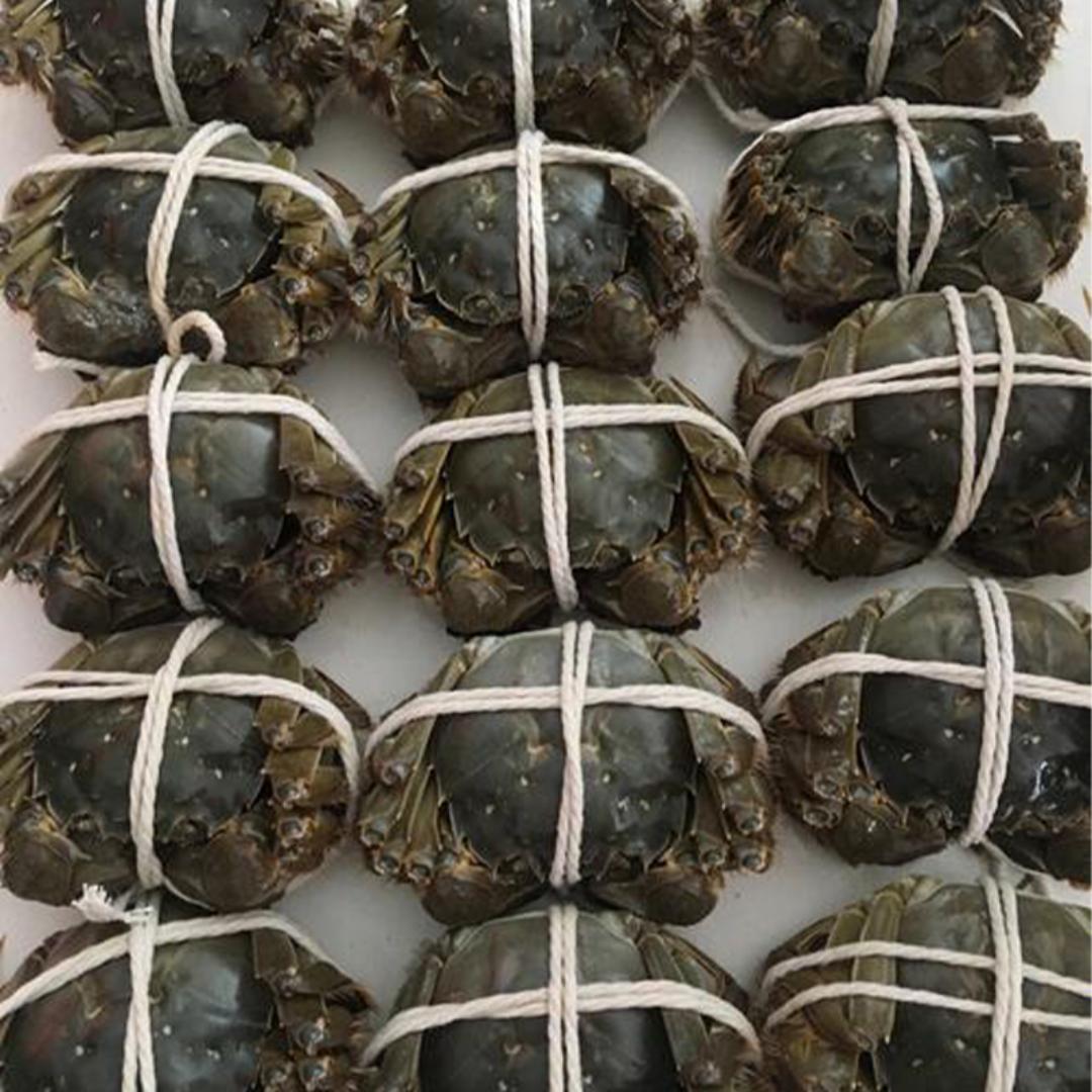 天门登普水产