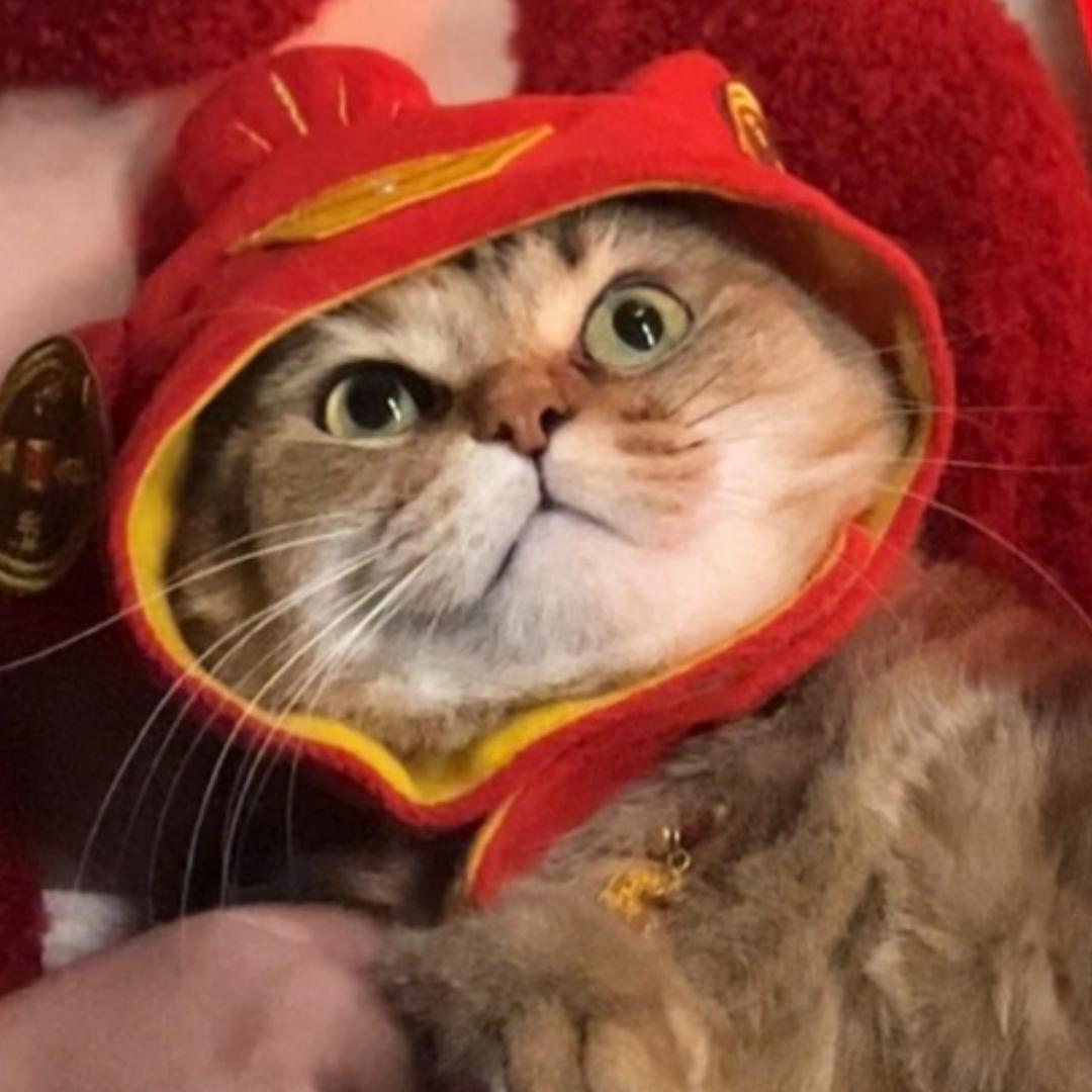 皮蛋瘦肉“粥”