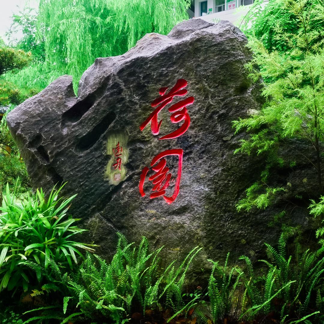 🏫四小那些事儿
