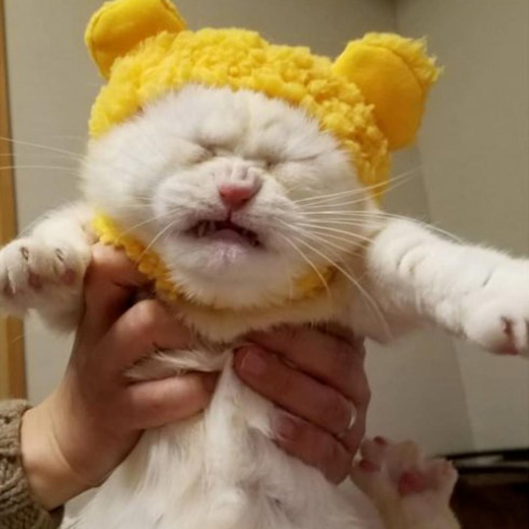 剪予
