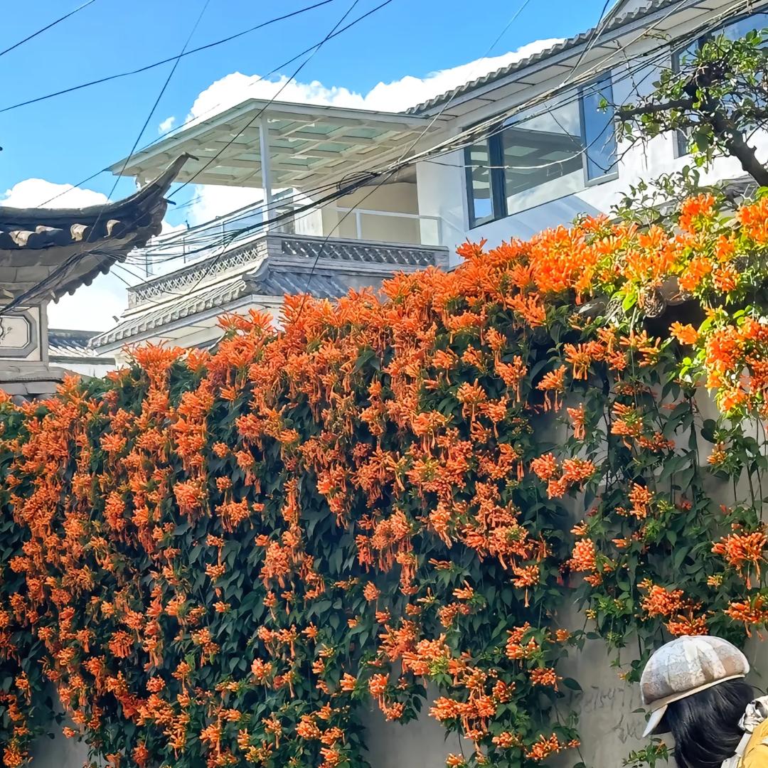 好物精选小超市