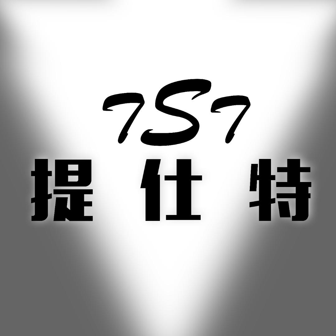 提仕特数码店