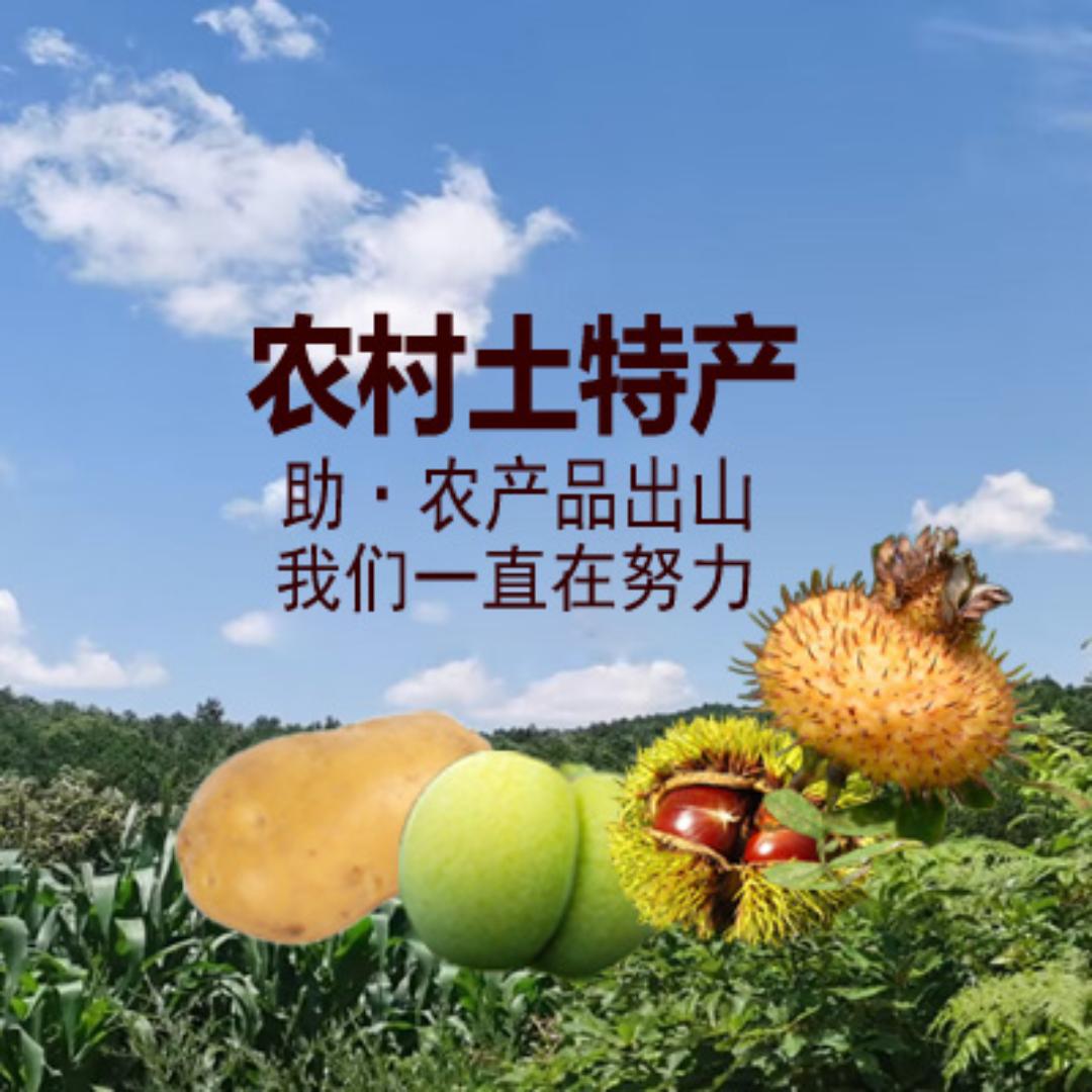 七星关区农村土特产