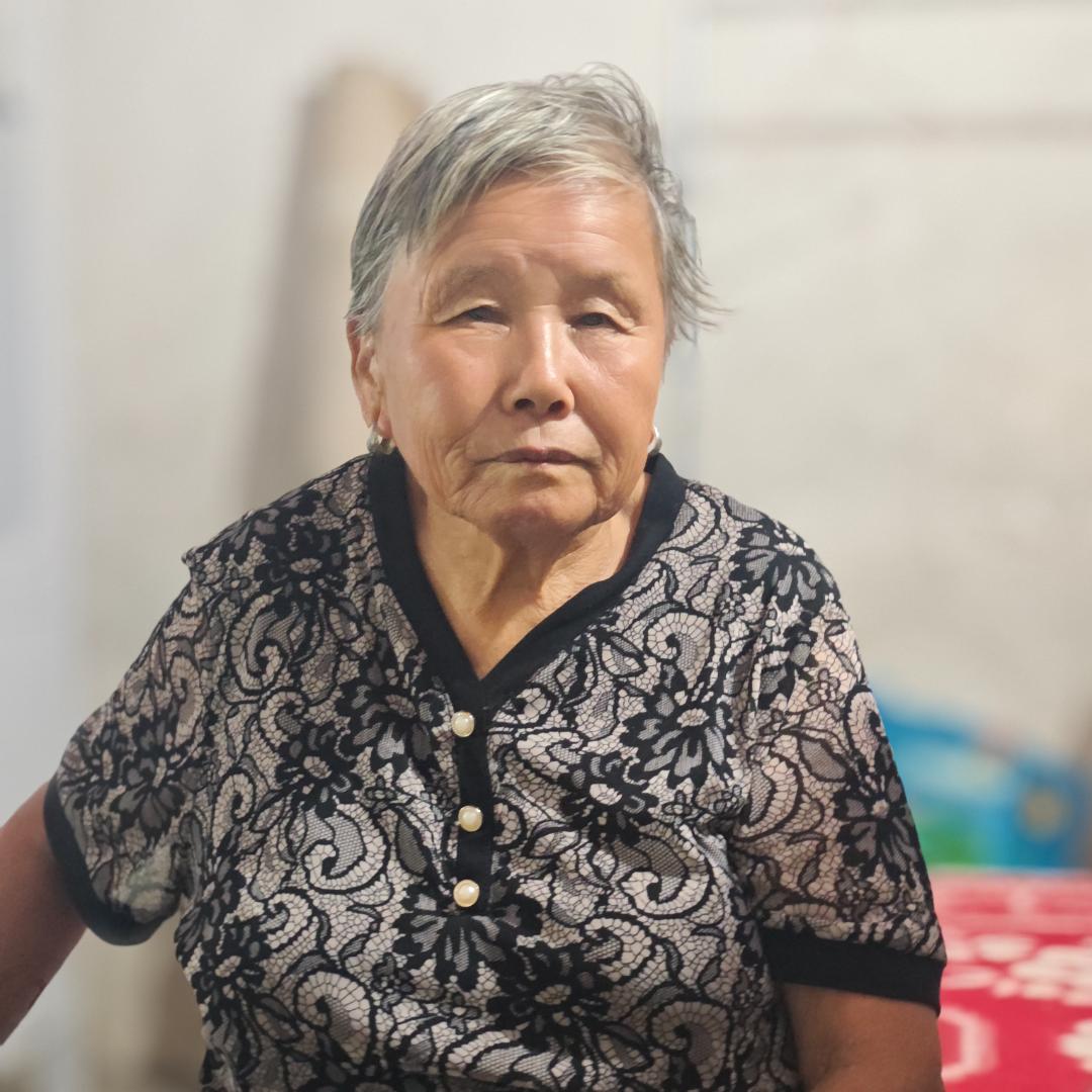 刚满八十五（尝鲜版）