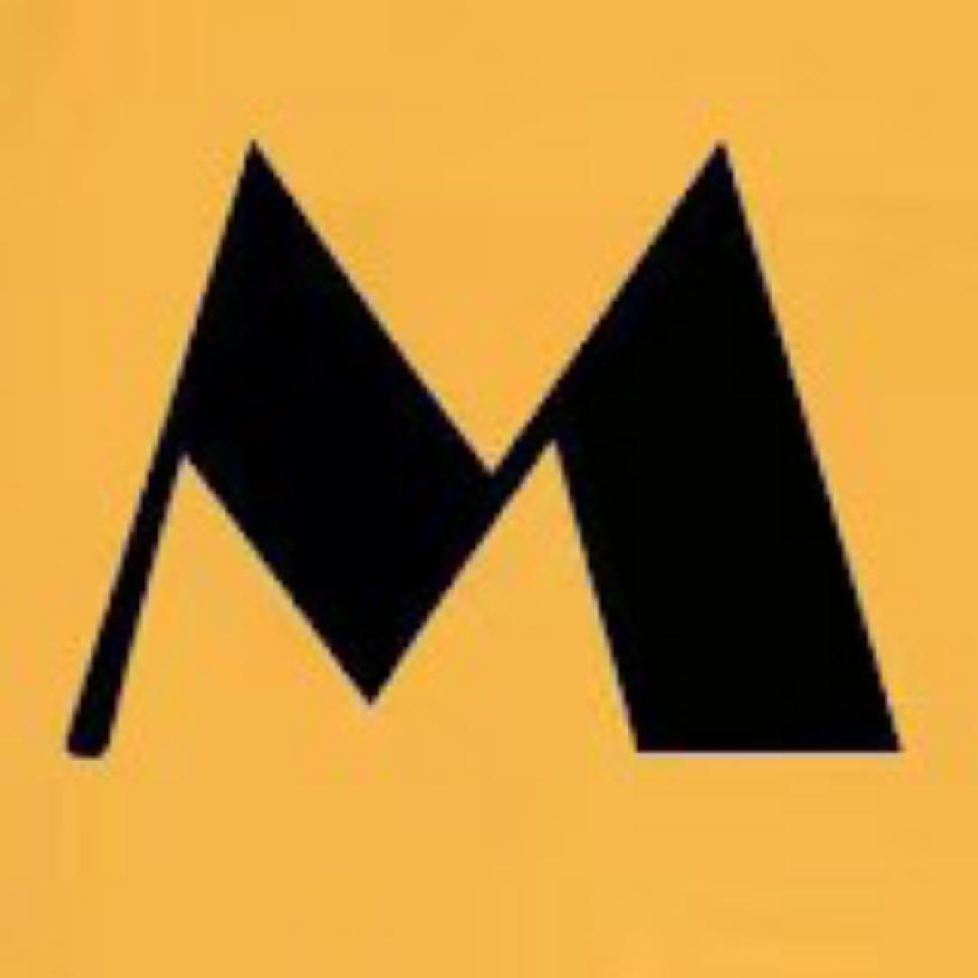 M调查