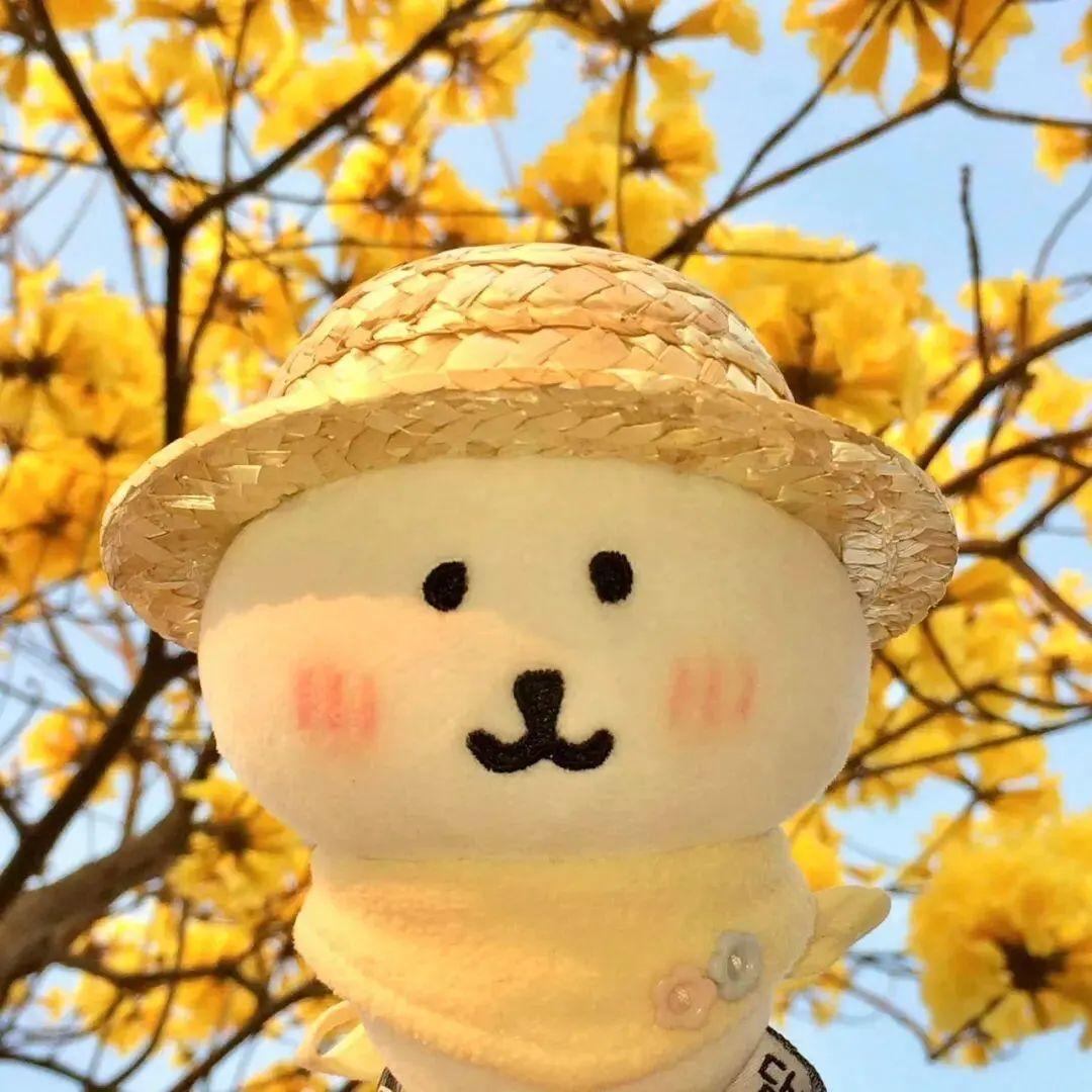 小苞米