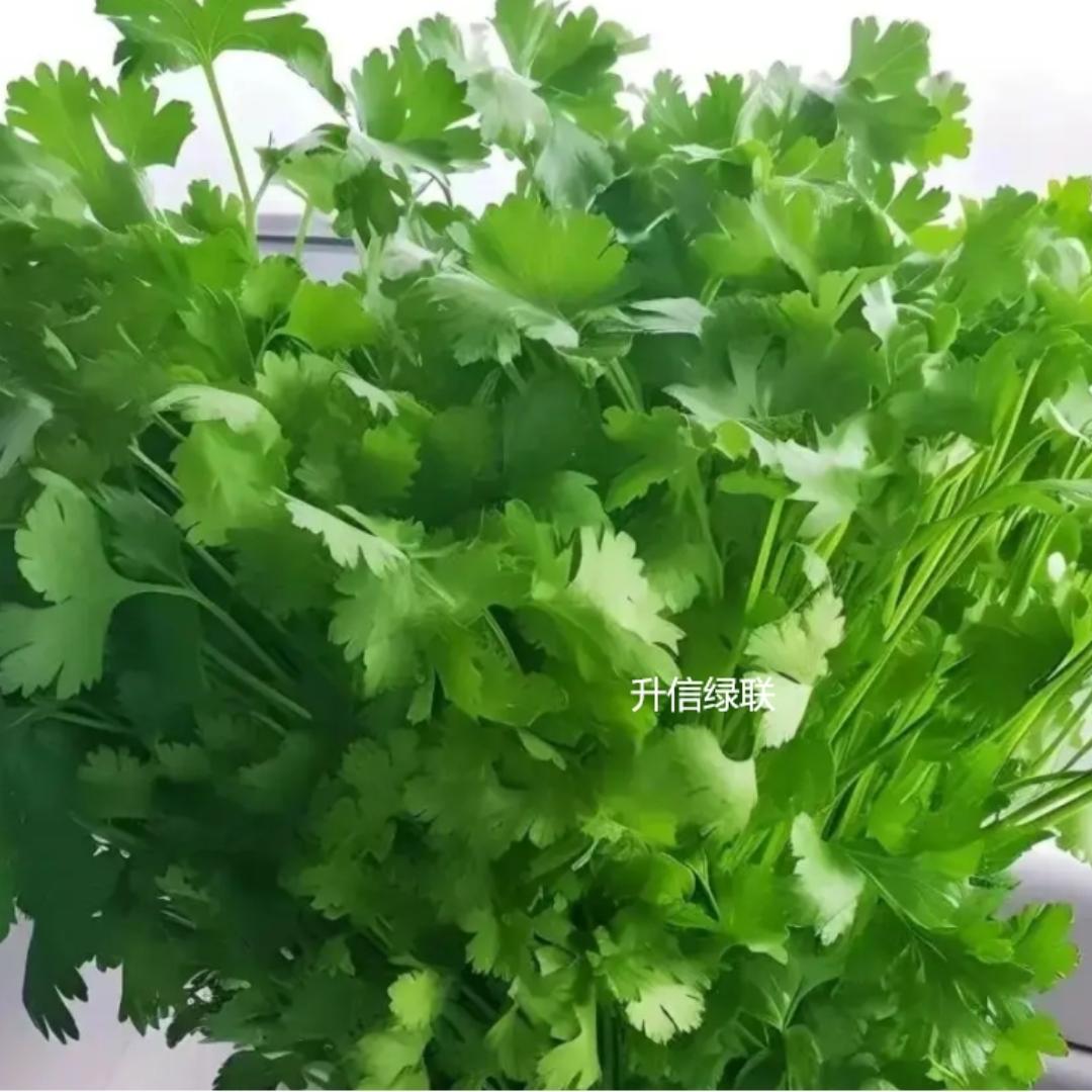 升信绿联