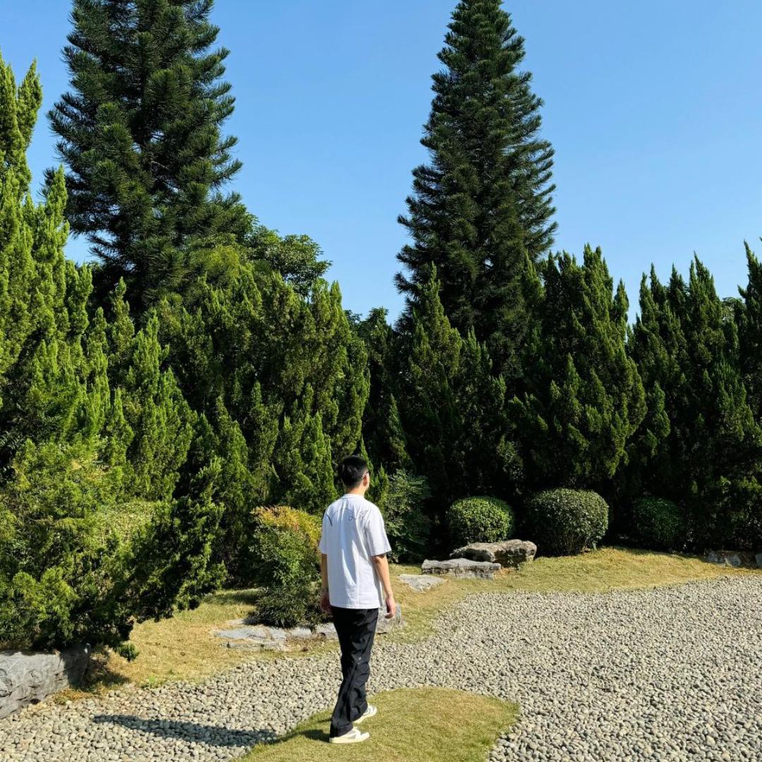 沪常来商务智慧咨询小铺