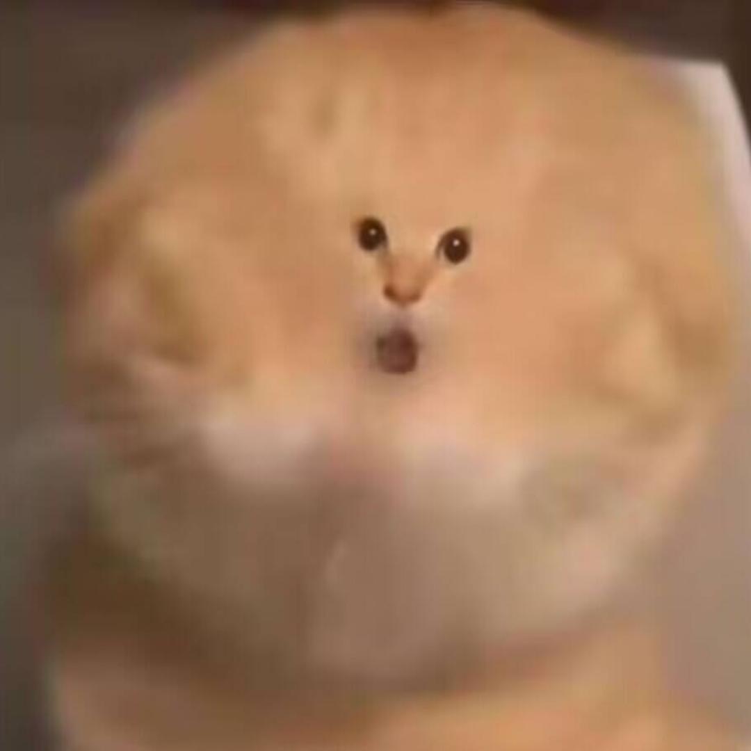 蓝色咸鱼