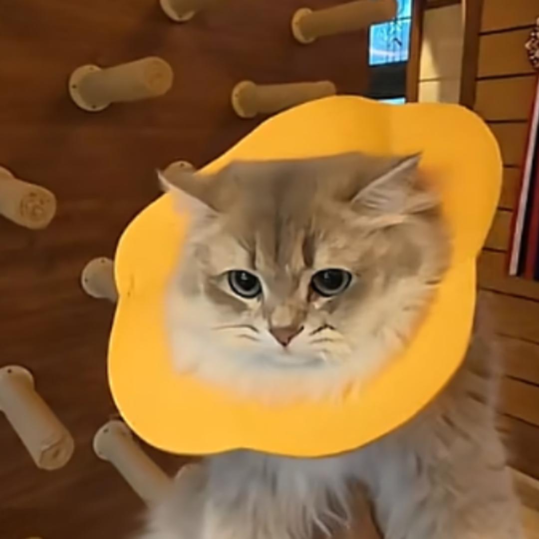 壳宜佳电子精品小铺子