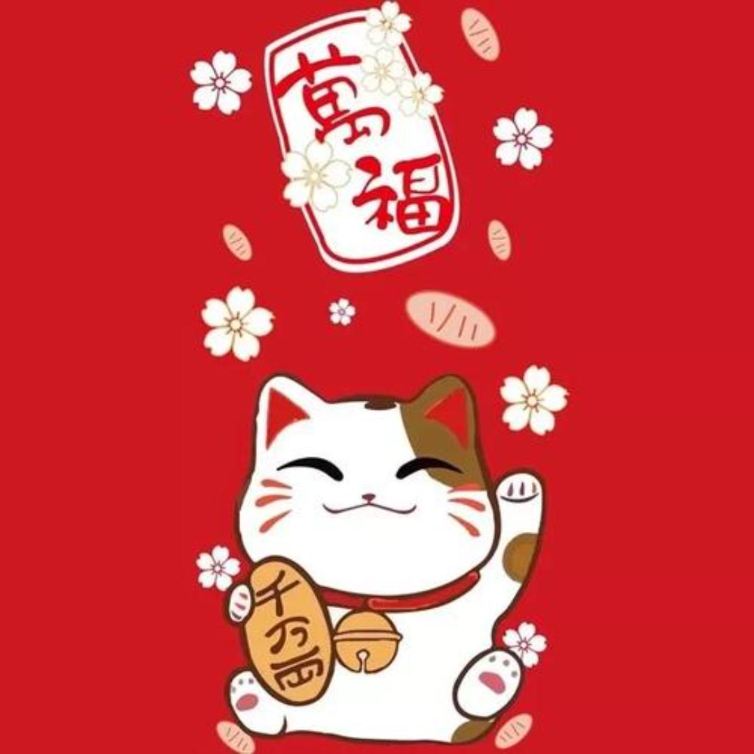七七有财