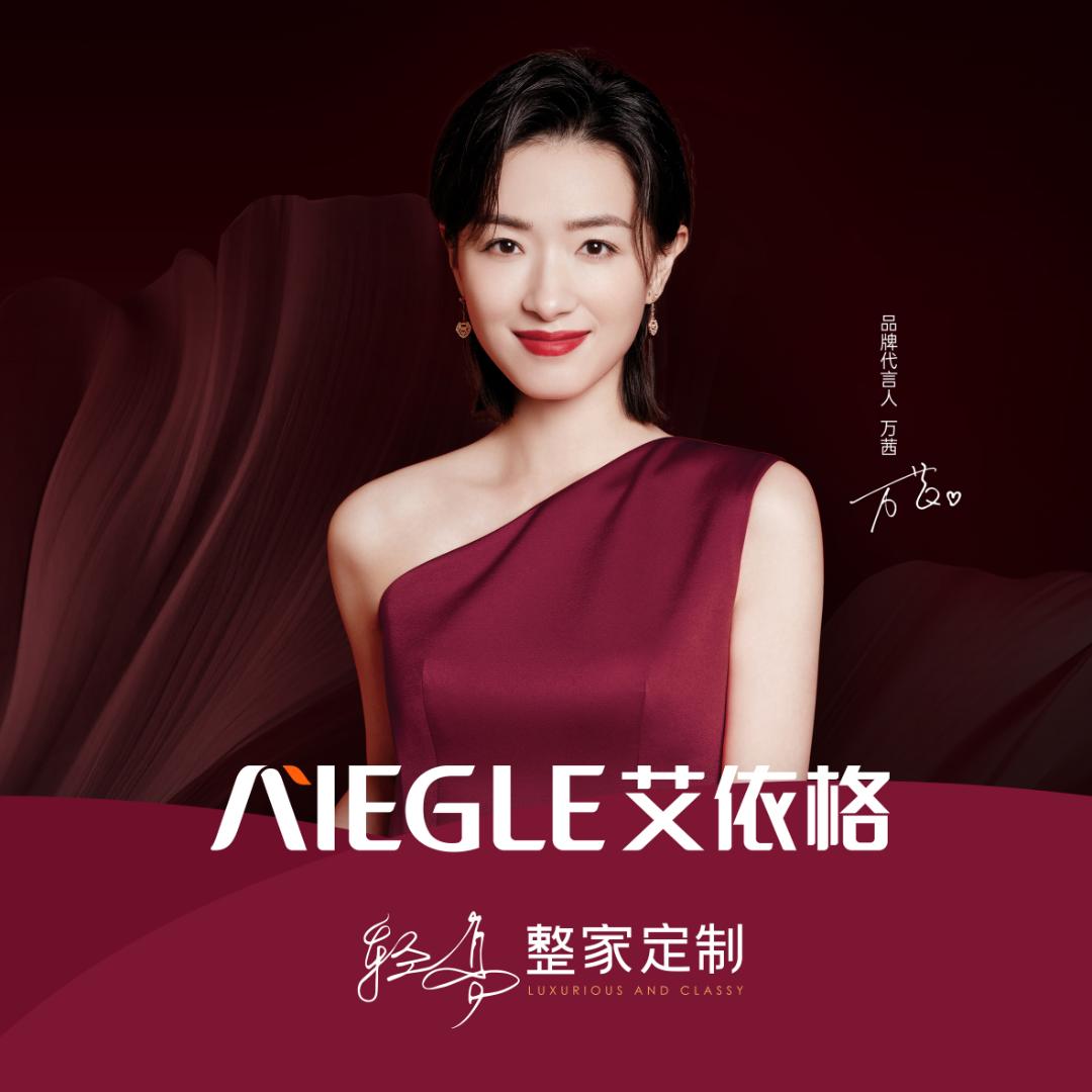 艾依格轻高整家定制