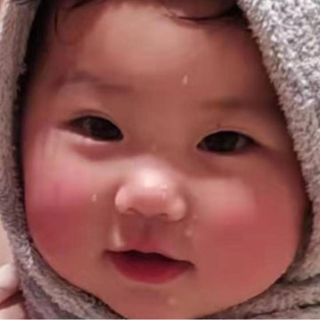 肥肥的强强