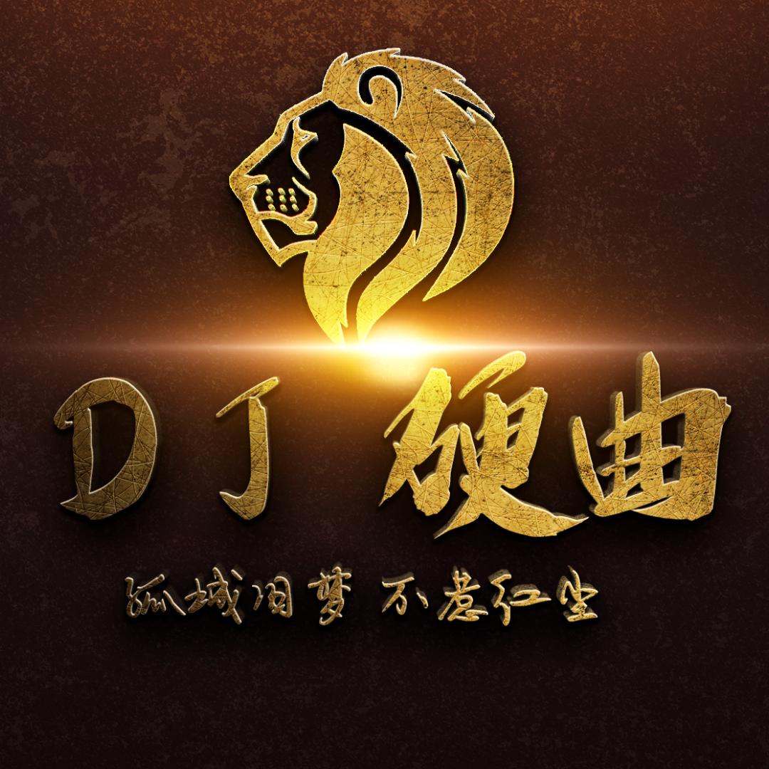 柏林之声车载音乐-硬曲DJ