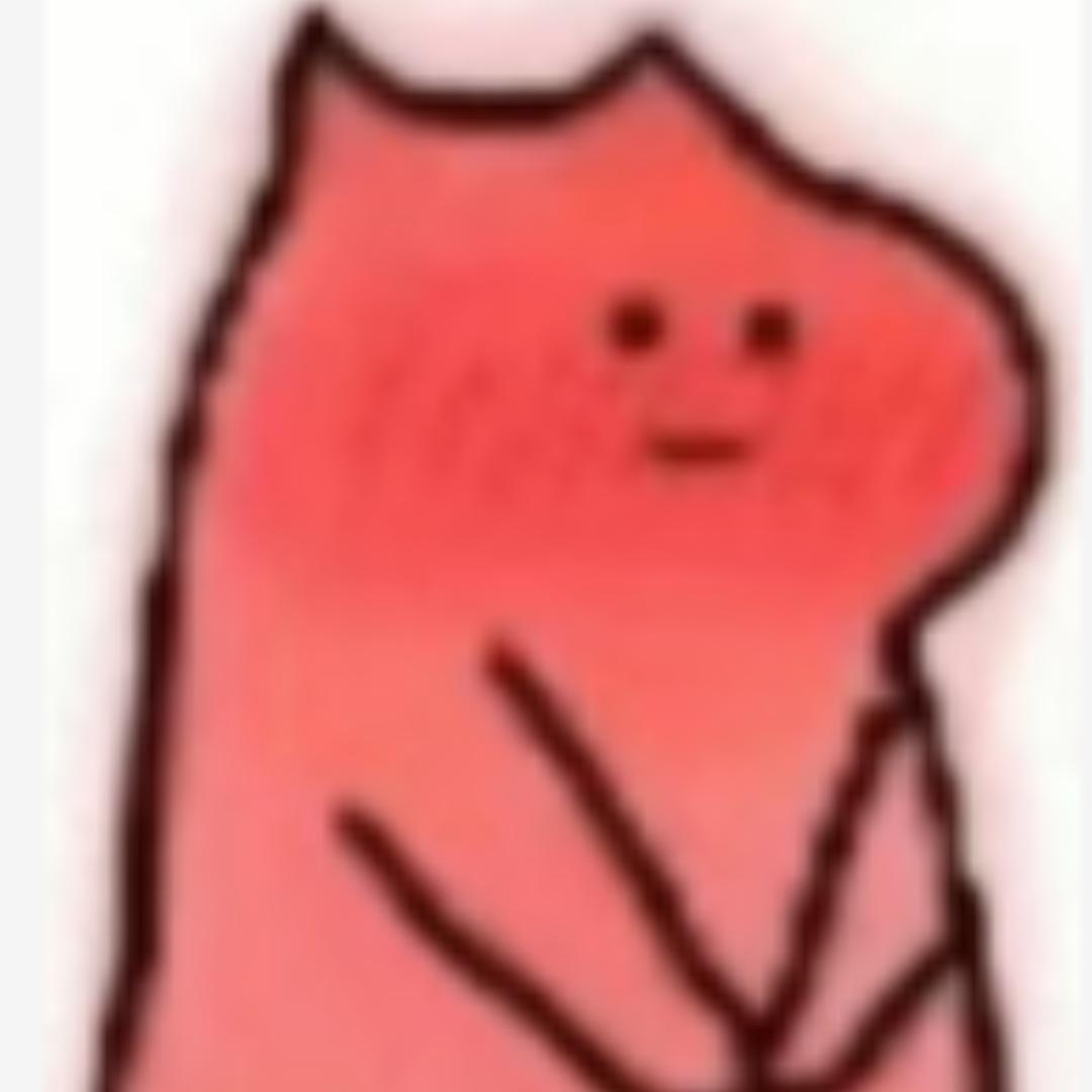 叮叮猫me