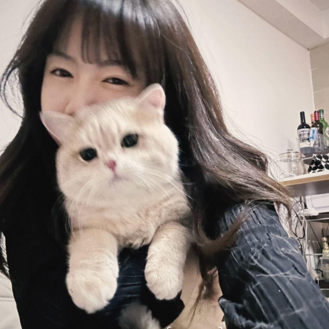 安安不晚安