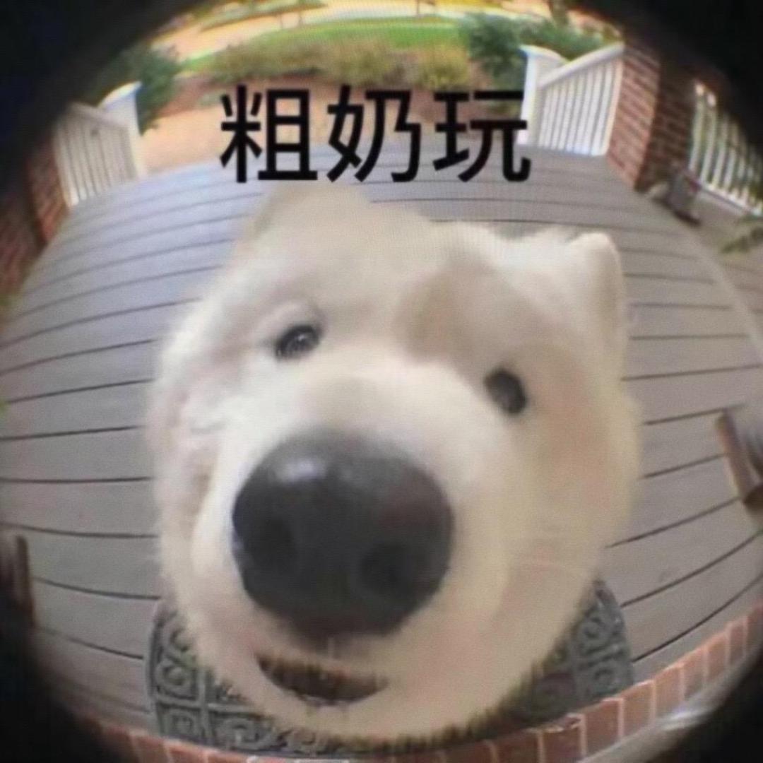 橙子嘴不碎