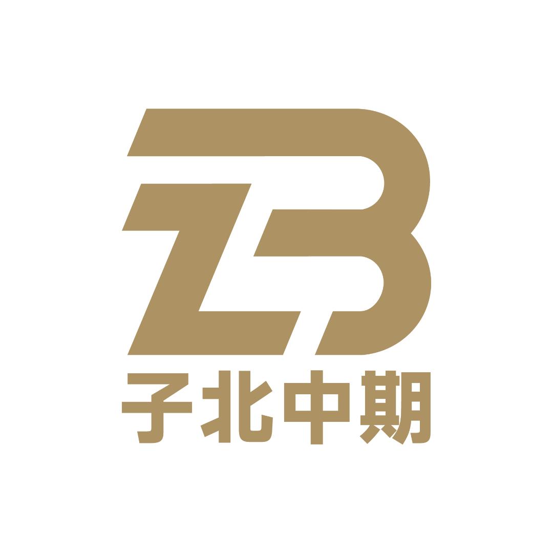 子北中期网