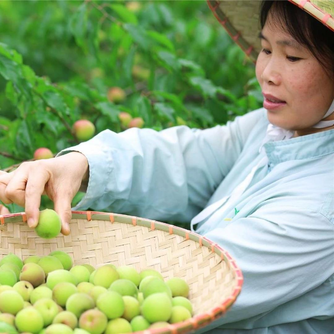 欣欣老师聊农资
