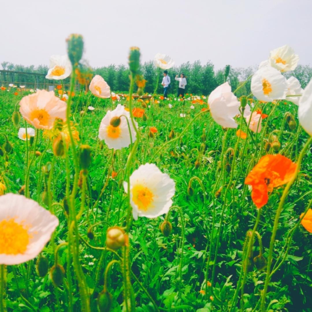 小杨日用品商行