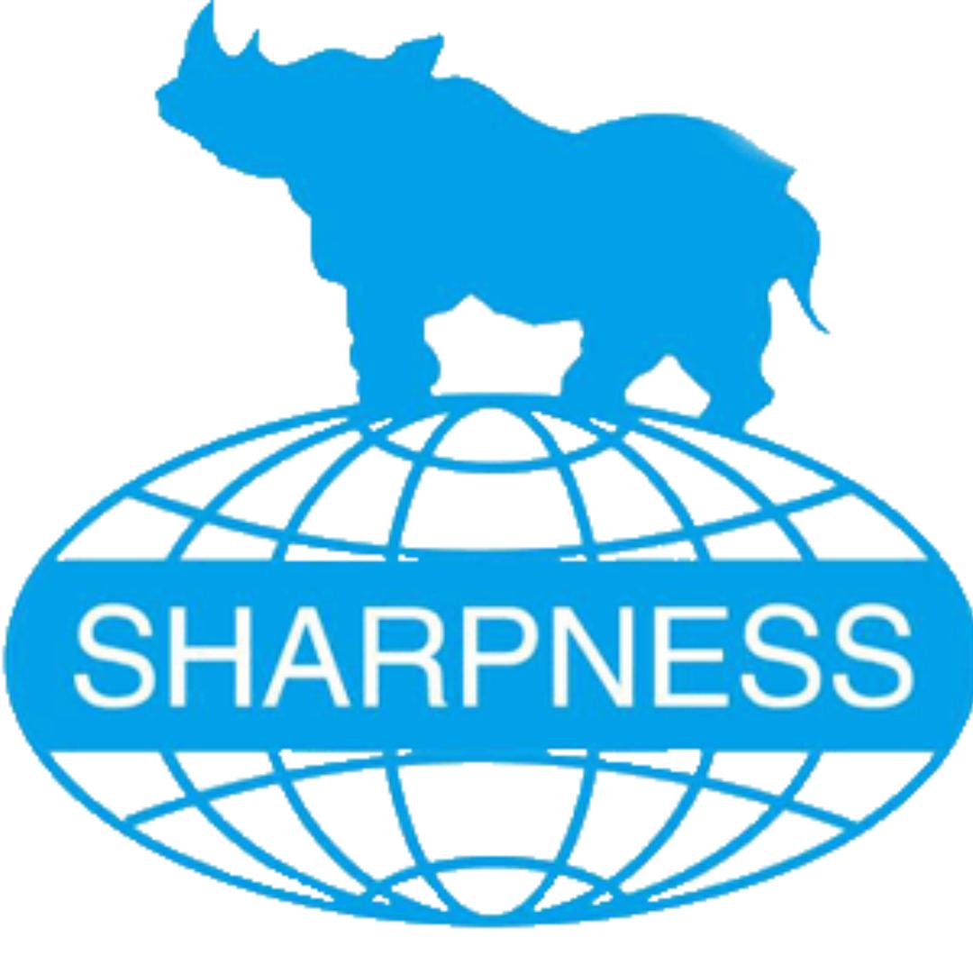 湖北玉立砂带集团股份有限公司