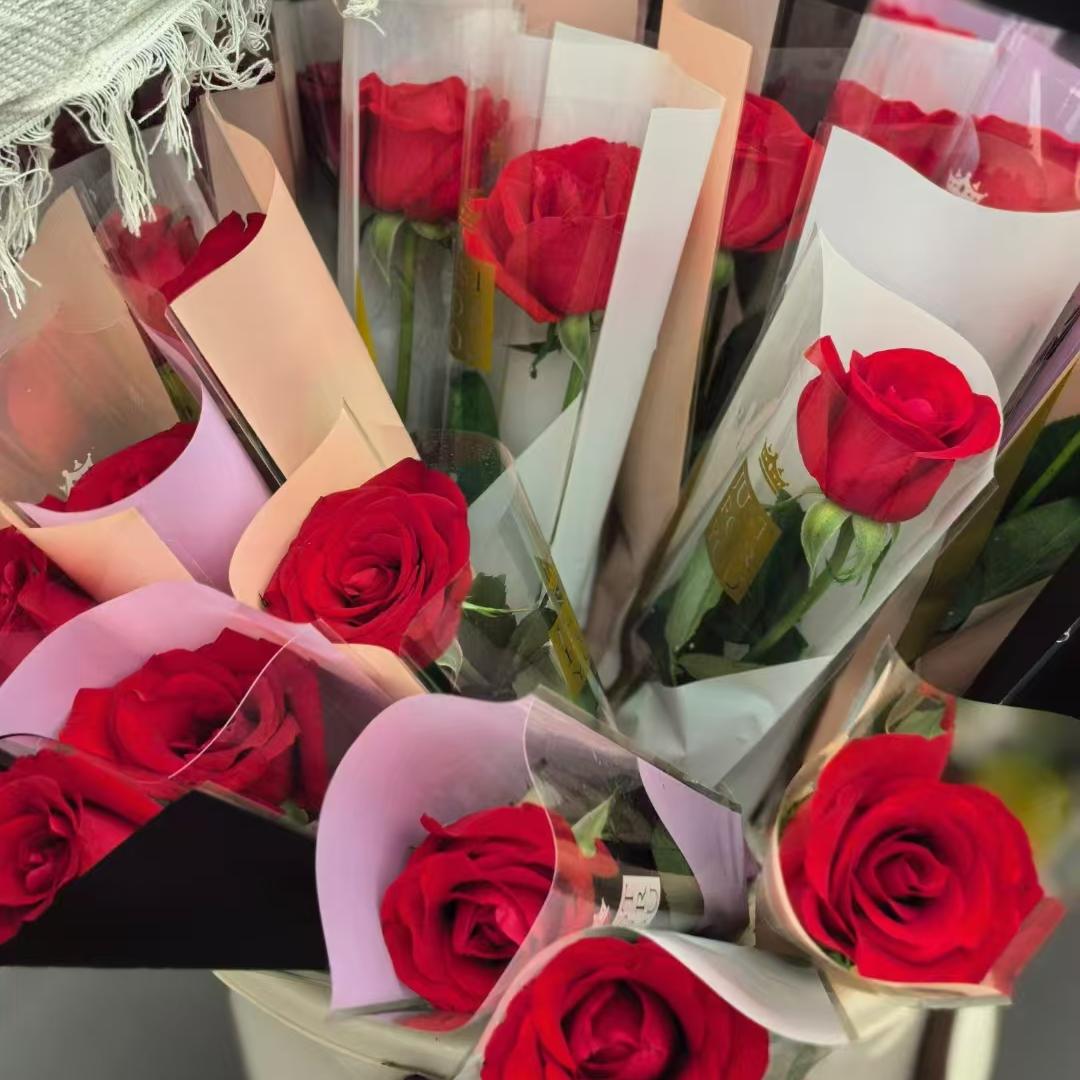 北京大兴龙湖体验中心