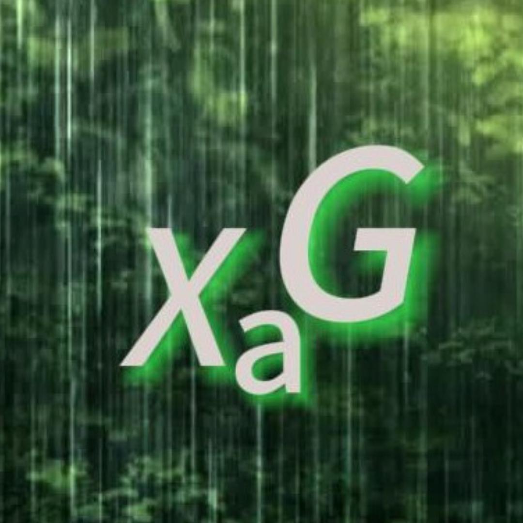 XaG、