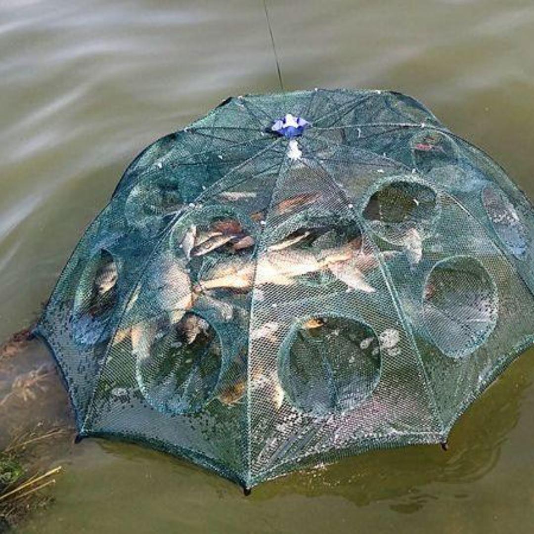 大白鲨渔具甄选