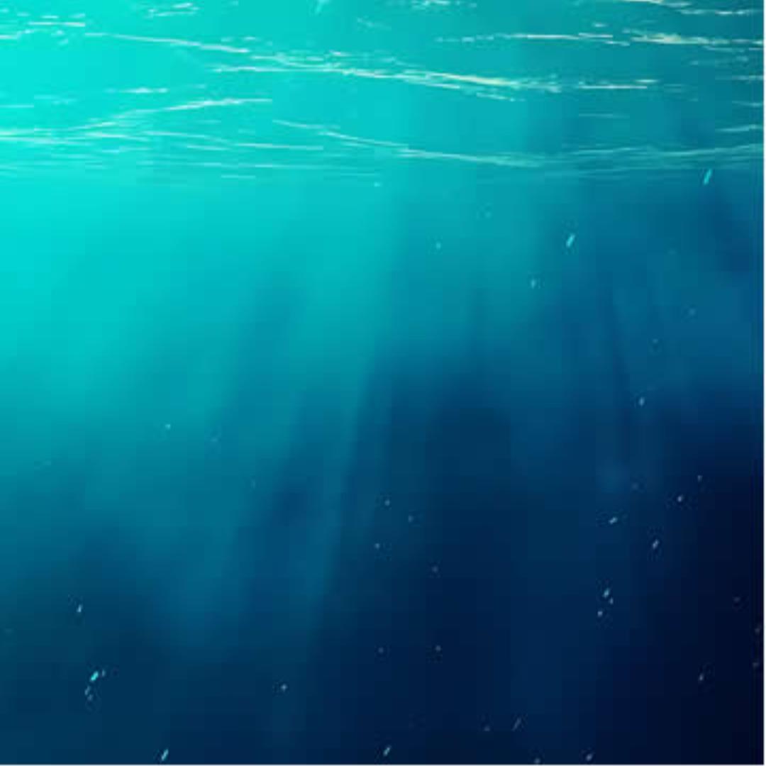 蓑鲉