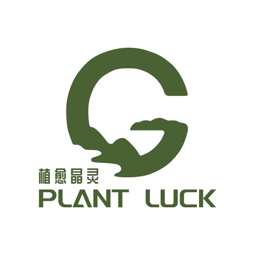 植接开挂