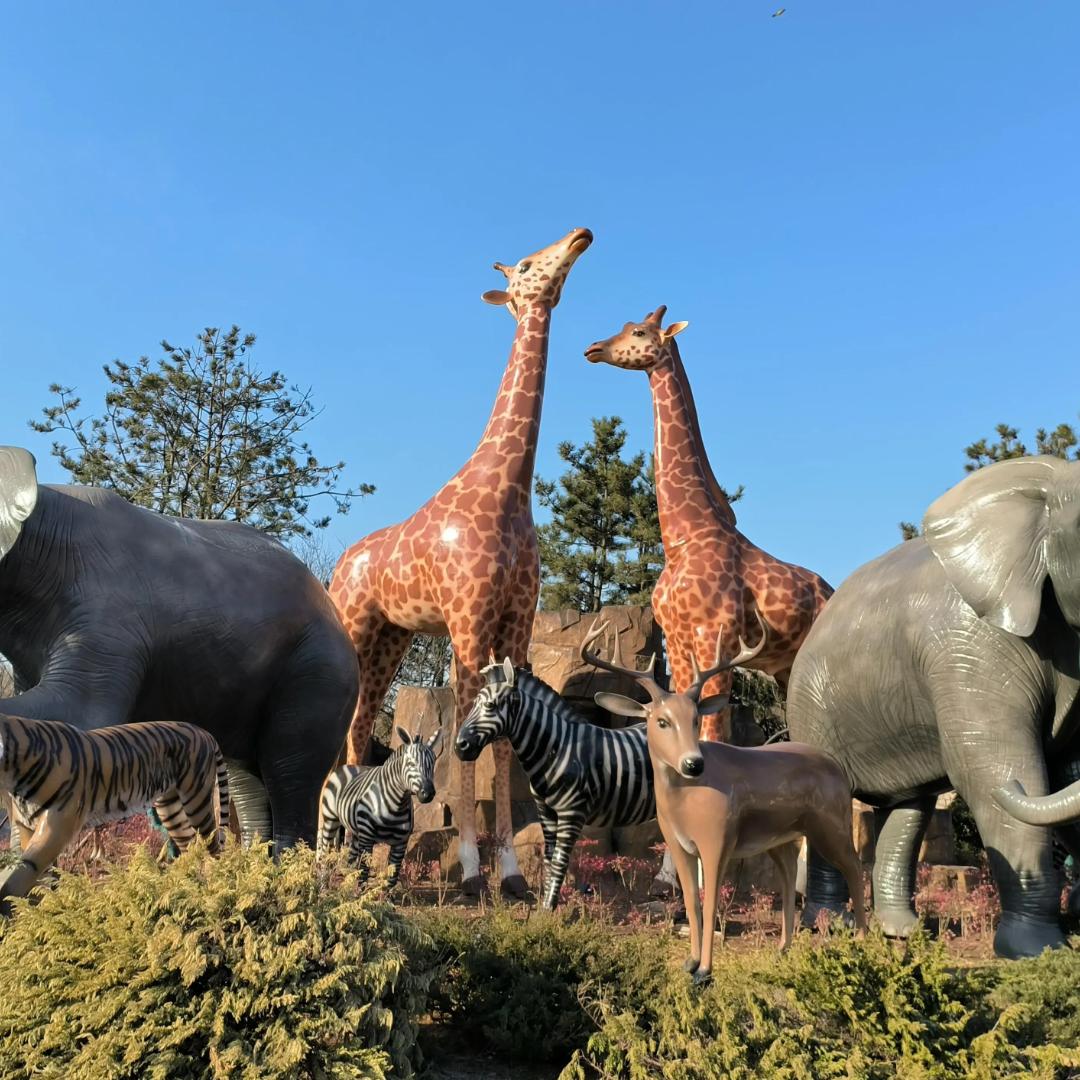 小徐游玩主推员&