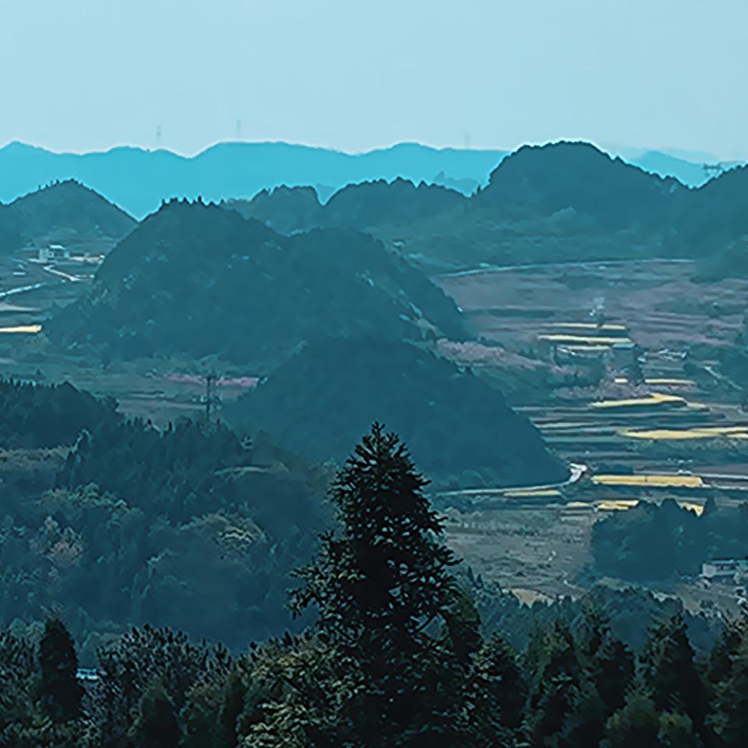 康养南江