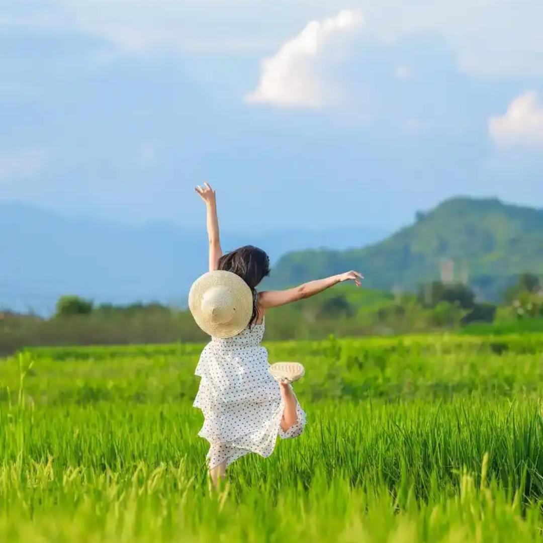 田野