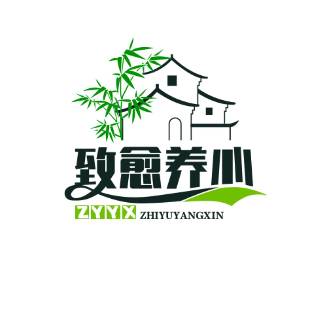 致愈养心殿(u盘)