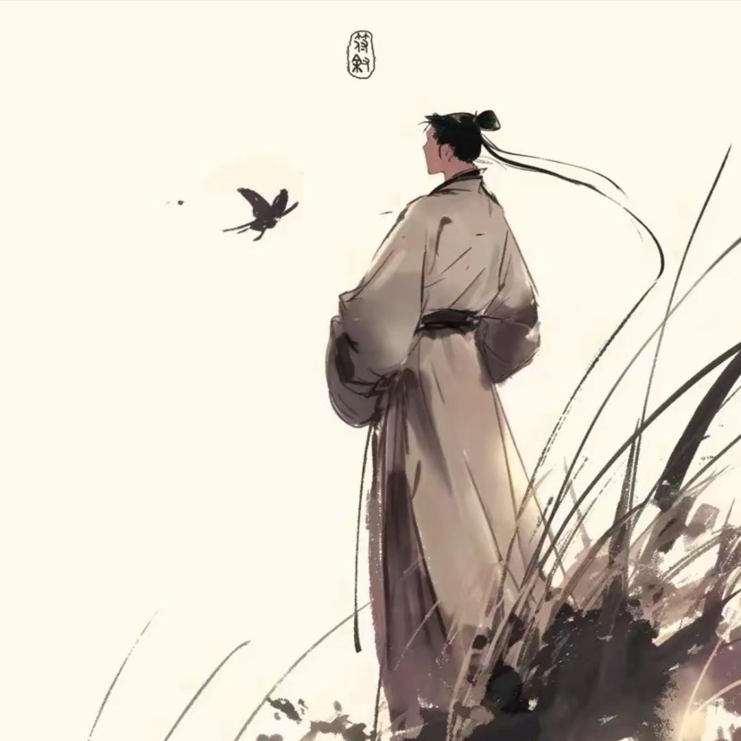 云龙说情感