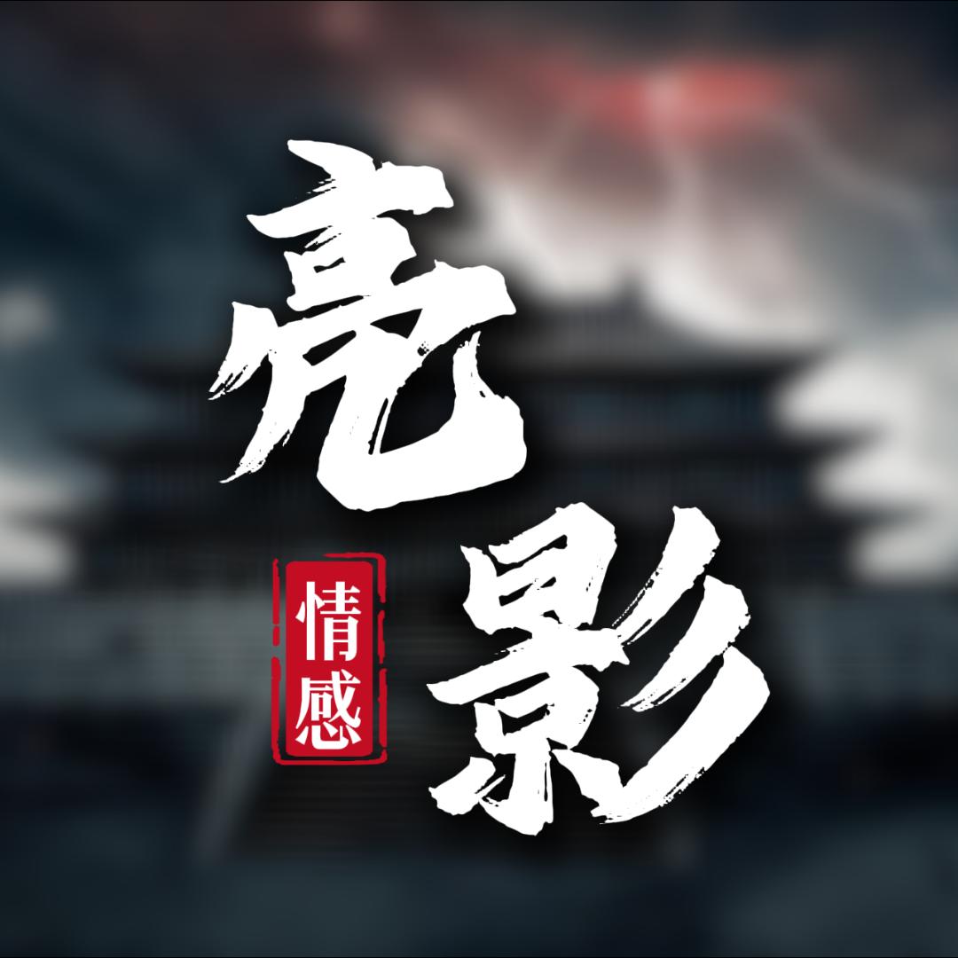 亮影情感