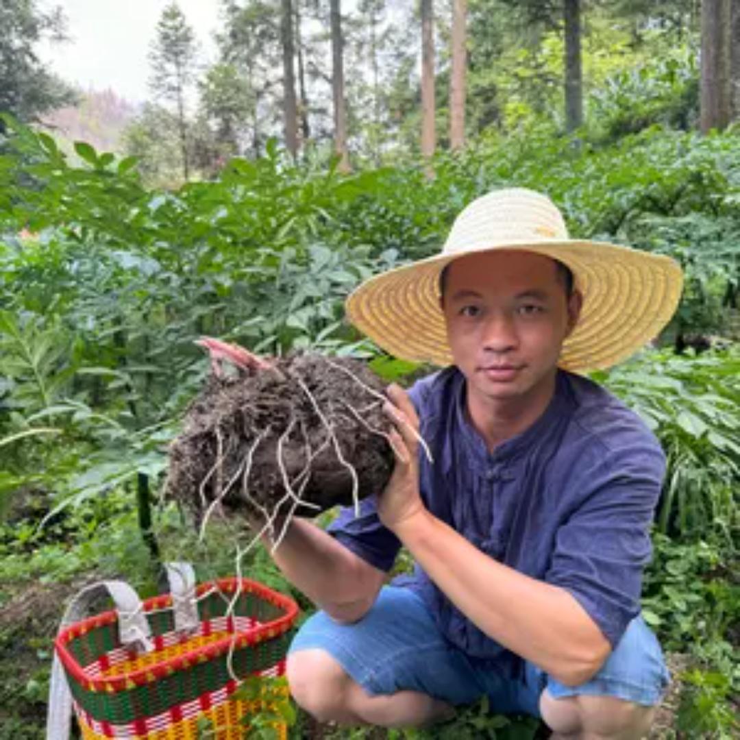 黔家诗语
